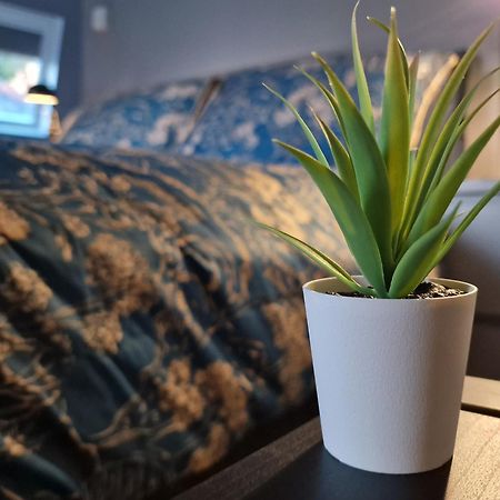 The Penthouse Ny Loft Apartment Barmouth Kültér fotó